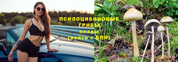 винт Аркадак