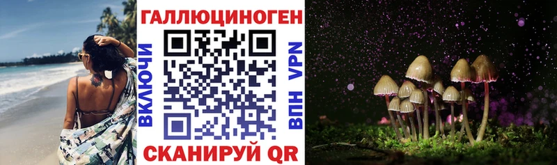 Купить где  Ясногорск  Галлюциногенные грибы мицелий 